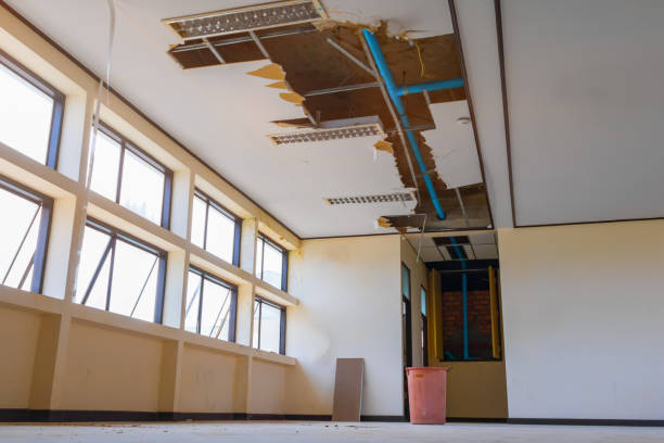 Reliable Nanakuli, HI Water damage restoration Solutions