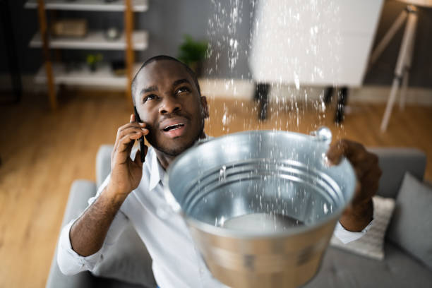 Best Local water damage restoration  in Nanakuli, HI