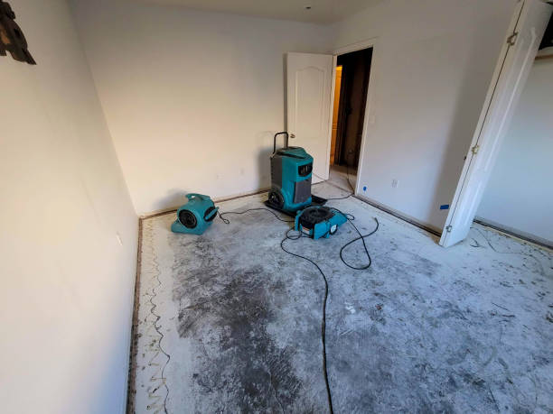 Best Emergency water damage restoration  in Nanakuli, HI