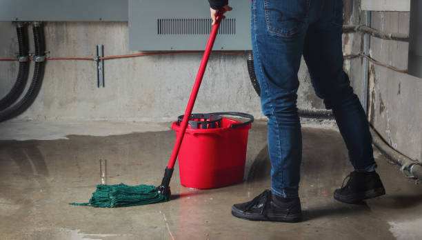 Best Ceiling water damage repair  in Nanakuli, HI