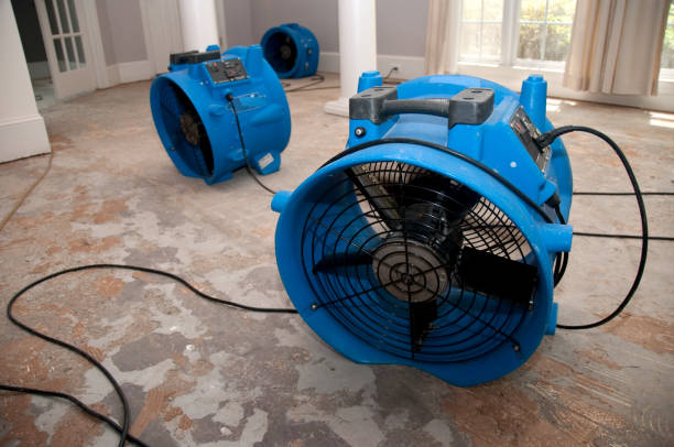 Best 24-hour water damage restoration  in Nanakuli, HI