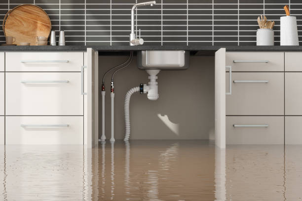 Best Water damage restoration insurance claims  in Nanakuli, HI