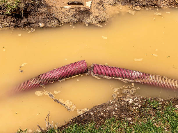 Best Flooded house restoration  in Nanakuli, HI